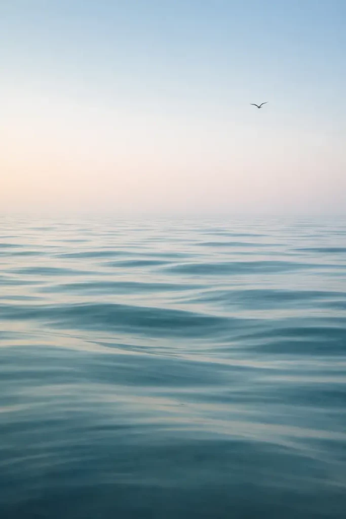 Océan Atlantique à Biarritz sur la Côte des basques avec un oiseau dans le ciel